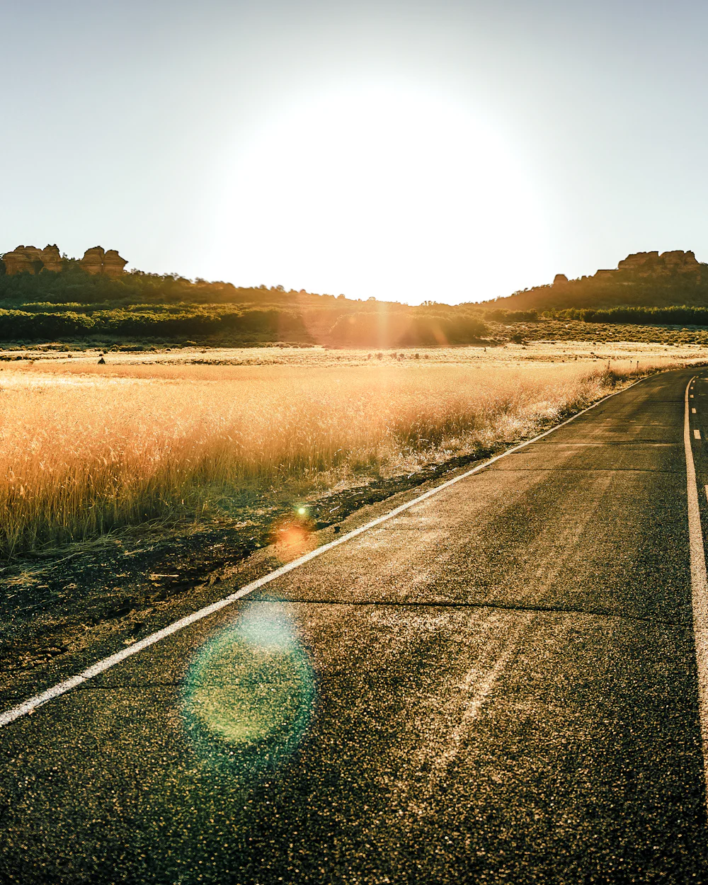 An open country road leading toward sunlit hills at sunrise, with tall golden grass on both sides